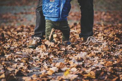 Low section of father and son walking on autumn leaves