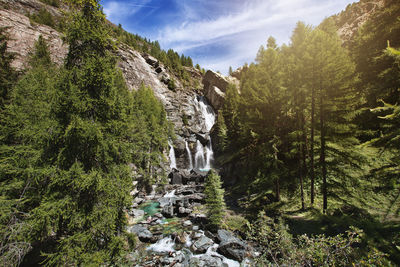 Scenic view of waterfall in forest