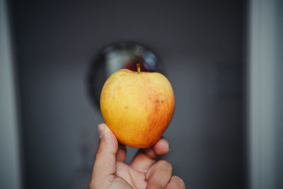 Close-up of hand holding orange