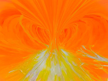 Full frame shot of orange flower