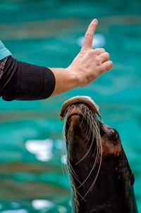 Close-up of hand against sea