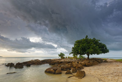 Scenic view of sea against sky