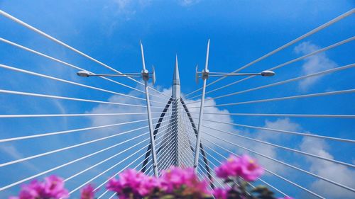 Low angle view of bridge pylon lines against blue sky