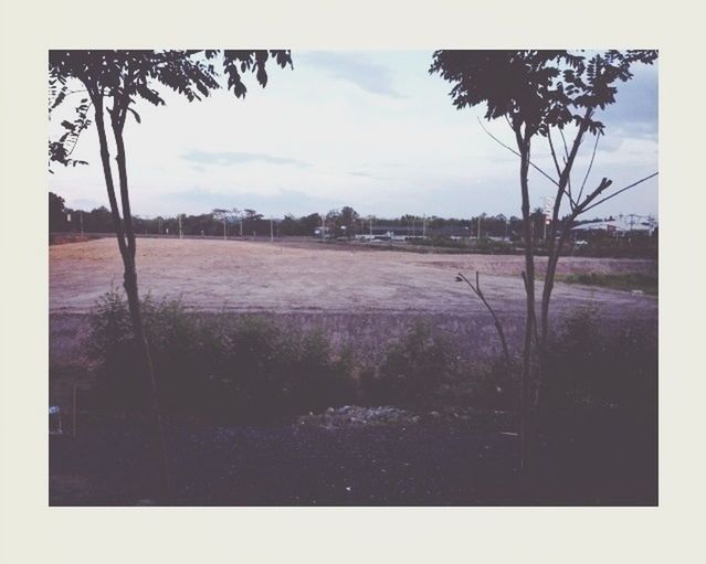 transfer print, auto post production filter, sky, tree, water, cloud - sky, nature, tranquility, field, cloud, tranquil scene, day, transportation, outdoors, growth, landscape, no people, scenics, bare tree, road