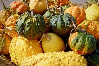 Close-up of pumpkins in market