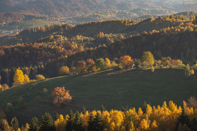 Autumn countryside landscape in transylvania, romania, at the foot of the carpathian mountains