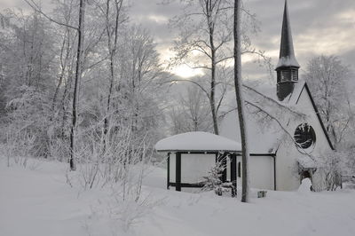 Snow covered trees in winter