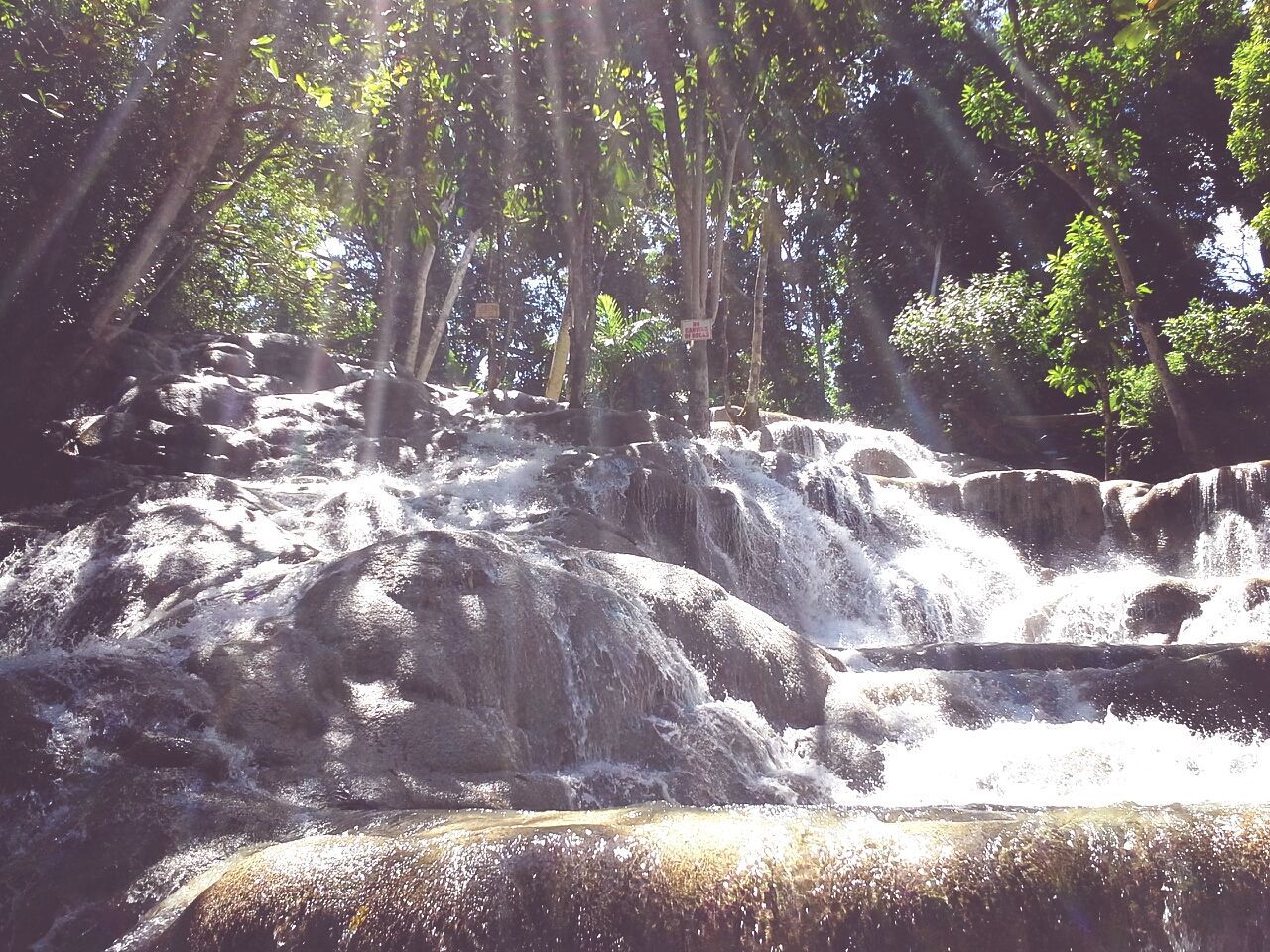 tree, nature, forest, sunlight, beauty in nature, tranquility, water, scenics, rock - object, flowing water, sunbeam, growth, tranquil scene, day, tree trunk, outdoors, flowing, no people, low angle view, motion