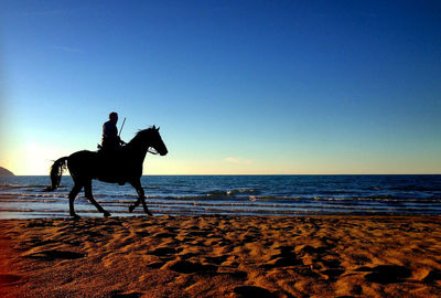 Silhouette man riding horse on beach against clear sky