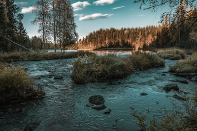 River flowing through rocks in forest against sky