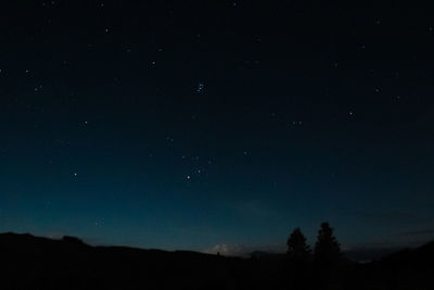 Low angle view of silhouette trees against sky at night