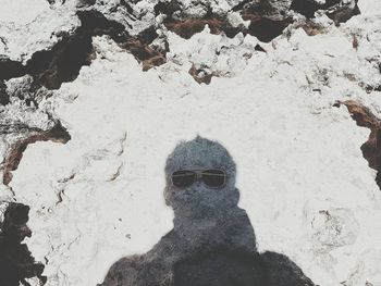 High angle view of person on sand at beach