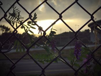 Close-up of chainlink fence against sky during sunset