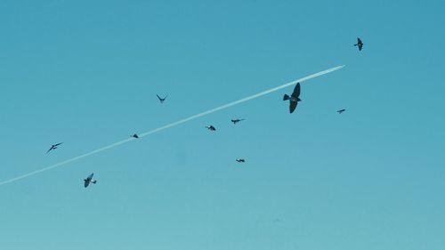 Low angle view of airplane flying in sky
