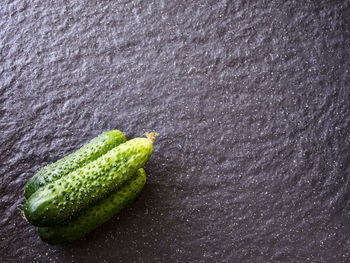 High angle view of cucumbers on slate