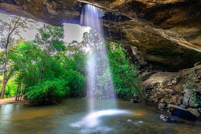 Scenic view of waterfall in forest