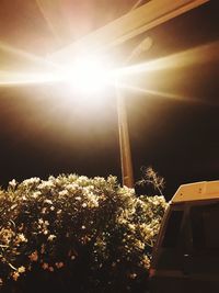 Low angle view of illuminated trees against sky on sunny day