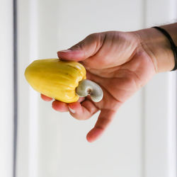 Yellow cashew apple with attached cashew shell held by outstretched hand