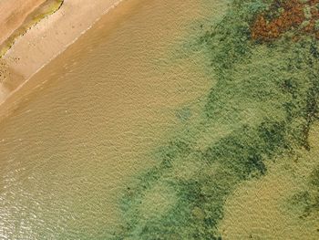 High angle view of beach