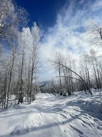 winter