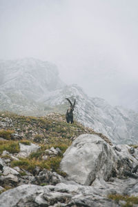 Scenic view of mountain range