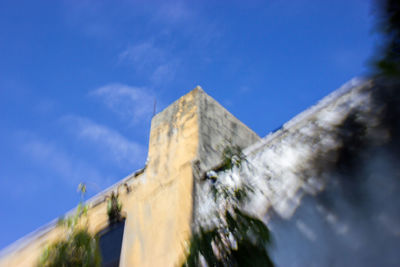 Close-up low angle view of tree against blue sky