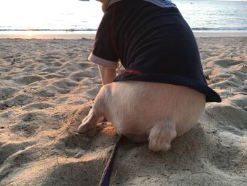 Low section of man sitting on beach