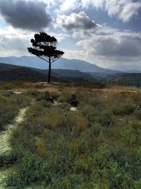 Scenic view of landscape against cloudy sky