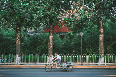 Bicycle sitting on road against trees