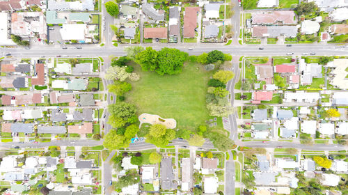 High angle view of flowering plants and buildings in town