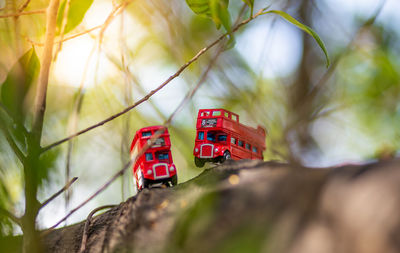 Close-up of red toy car