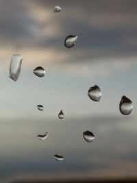 Close-up of water drops on leaf