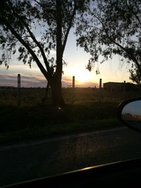 Trees by road against sky during sunset