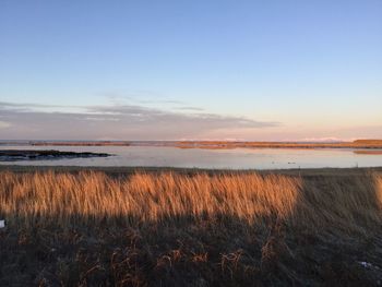 Scenic view of sea against sky during sunset