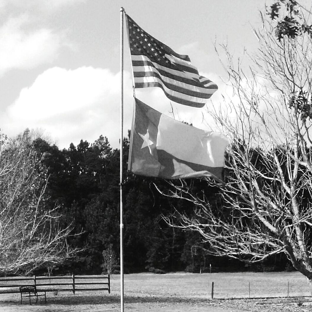 FLAG AGAINST TREES AND SKY