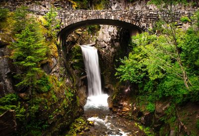 Scenic view of waterfall in forest