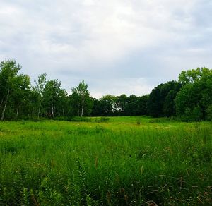 Scenic view of grassy field against cloudy sky