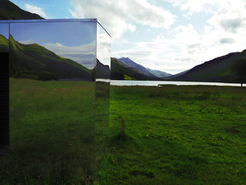 Scenic view of field against sky