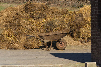 View of horse cart on field