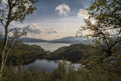 Scenic view of lake by trees against sky