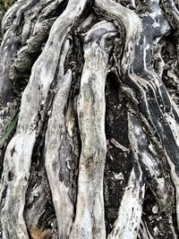 Detail shot of abstract background