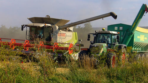 Combine harvesters on field against sky