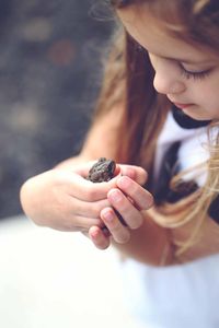 High angle view of cute looking down at frog