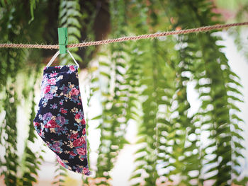 Close-up of clothespins hanging on rope against trees