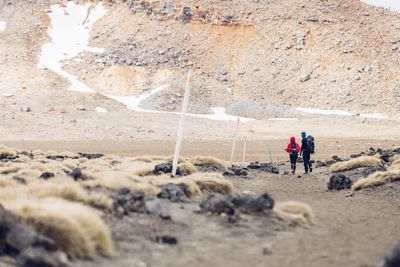 Full length of tourists against rock