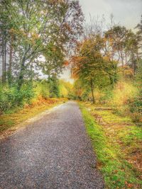 Road amidst trees in forest during autumn