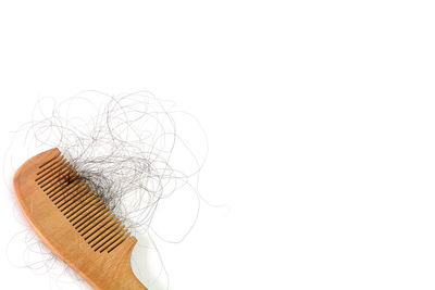 Close-up of birds over white background
