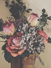 Close-up of rose plant in vase