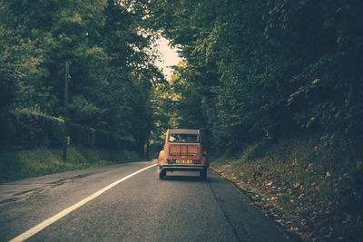 Road passing through forest