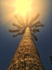 Low angle view of palm tree against sky